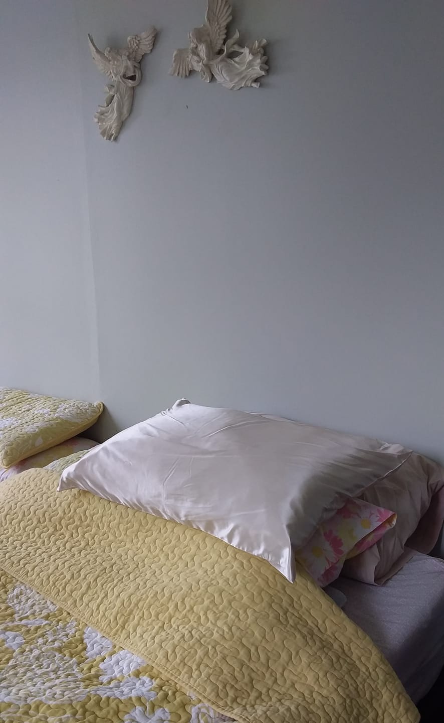 Customer photo review of Champagne Silk Pillowcase- NZ Standard Size - Zip Closure