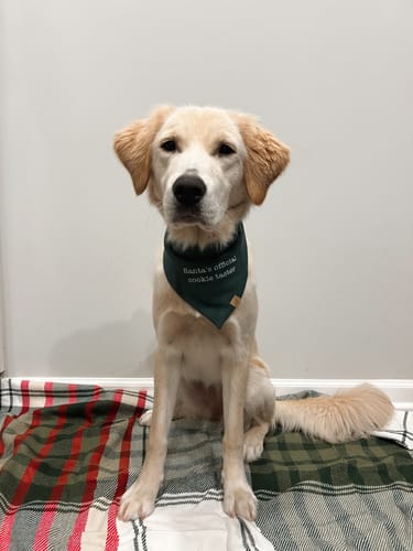 Customer photo review of Custom Saying Embroidered Bandana