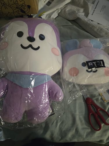 Customer photo review of BT21 Official Flat Face Cushion