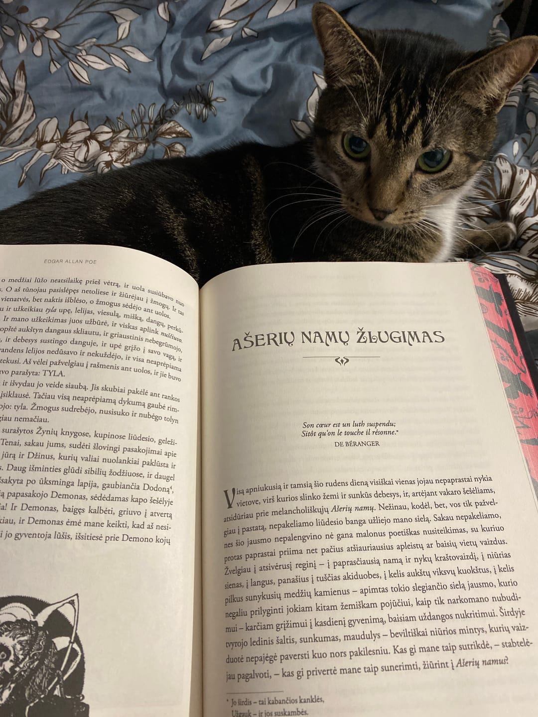 Customer photo review of Ašerių namų žlugimas ir kitos šiurpios istorijos: siaubo istorijų meistro Edgaro Allano Poe šedevrų rinkinys + galimybė personalizuoti