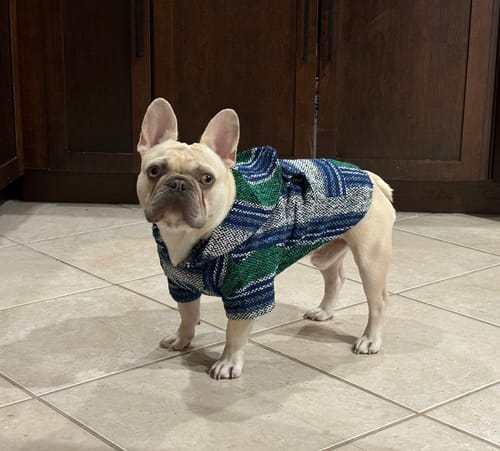 Customer photo review of Playa Poncho - Surprise Color