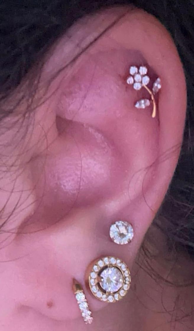 Customer photo review of Gloriosa Piercing | Titan