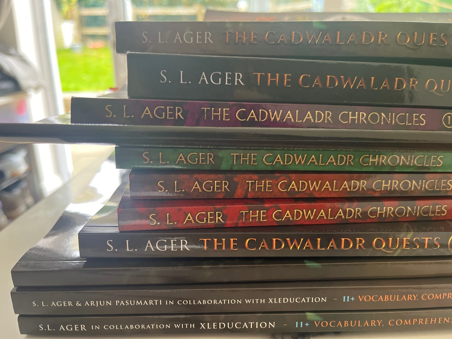 Customer photo review of The Cadwaladr Quests 11+ Vocabulary Novel Book 3: Cat's Eye (year 5)