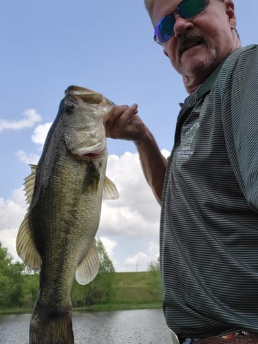 Customer photo review of Headbanger Shad 4.5"