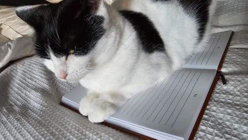 Customer photo review of Allrj I want to hear your story notebook