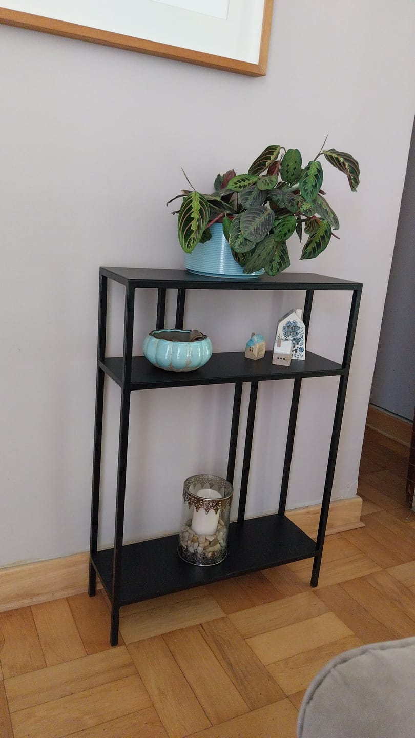 Customer photo review of Aparador Romani | METAL