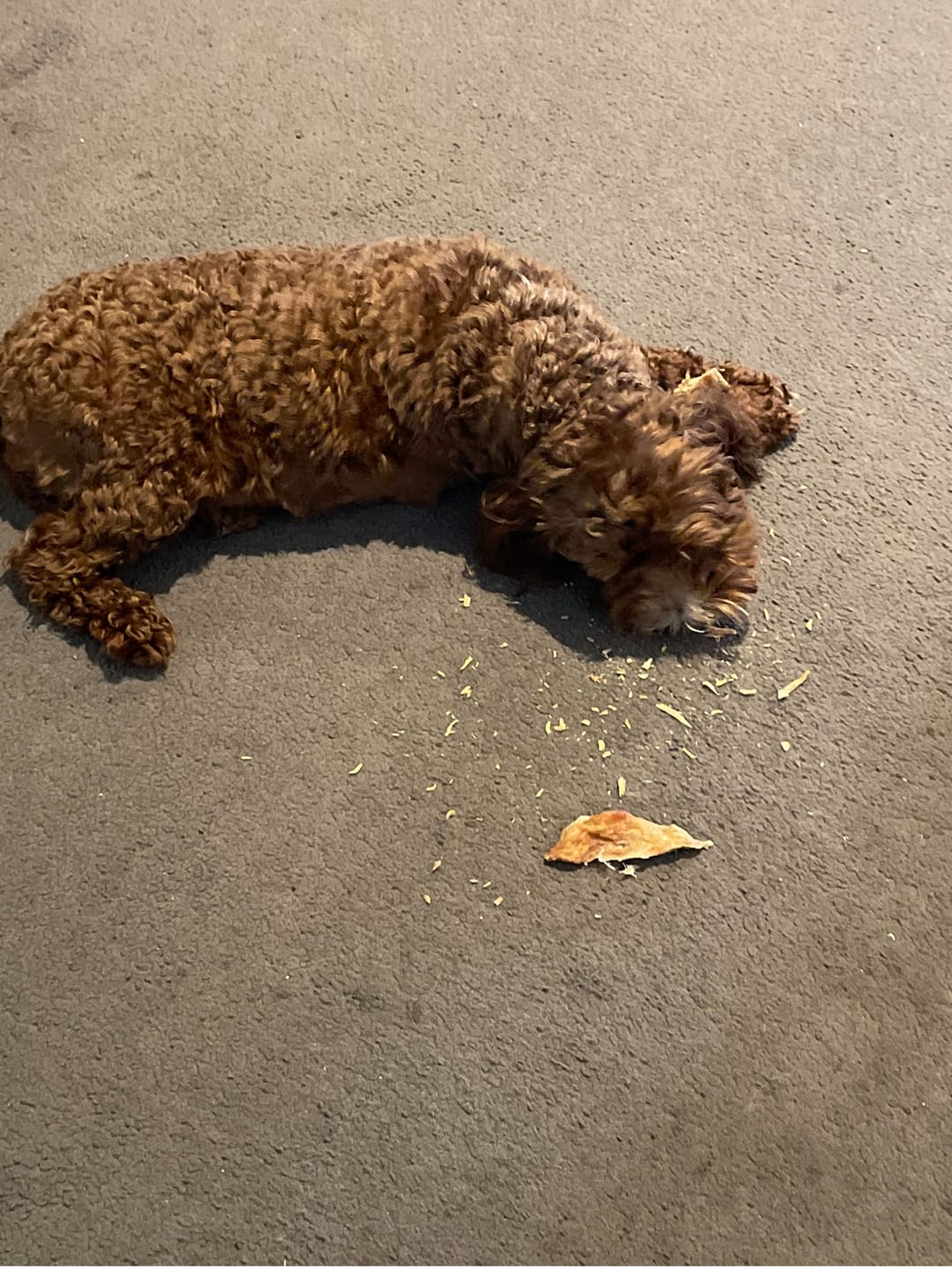 Customer photo review of Premium Chicken Chews