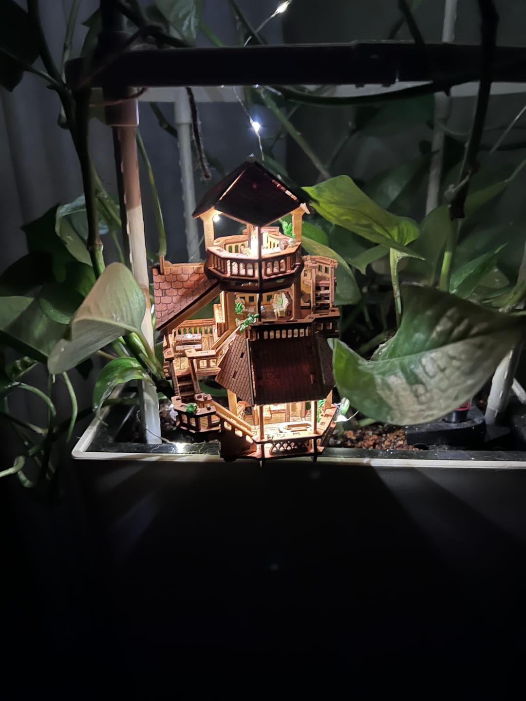 Customer photo review of Forest Cottage