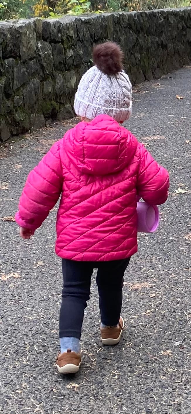 Customer photo review of The Everything Sippy Cup