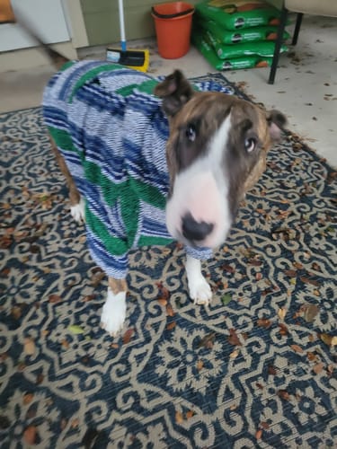 Customer photo review of Playa Poncho - Surprise Color