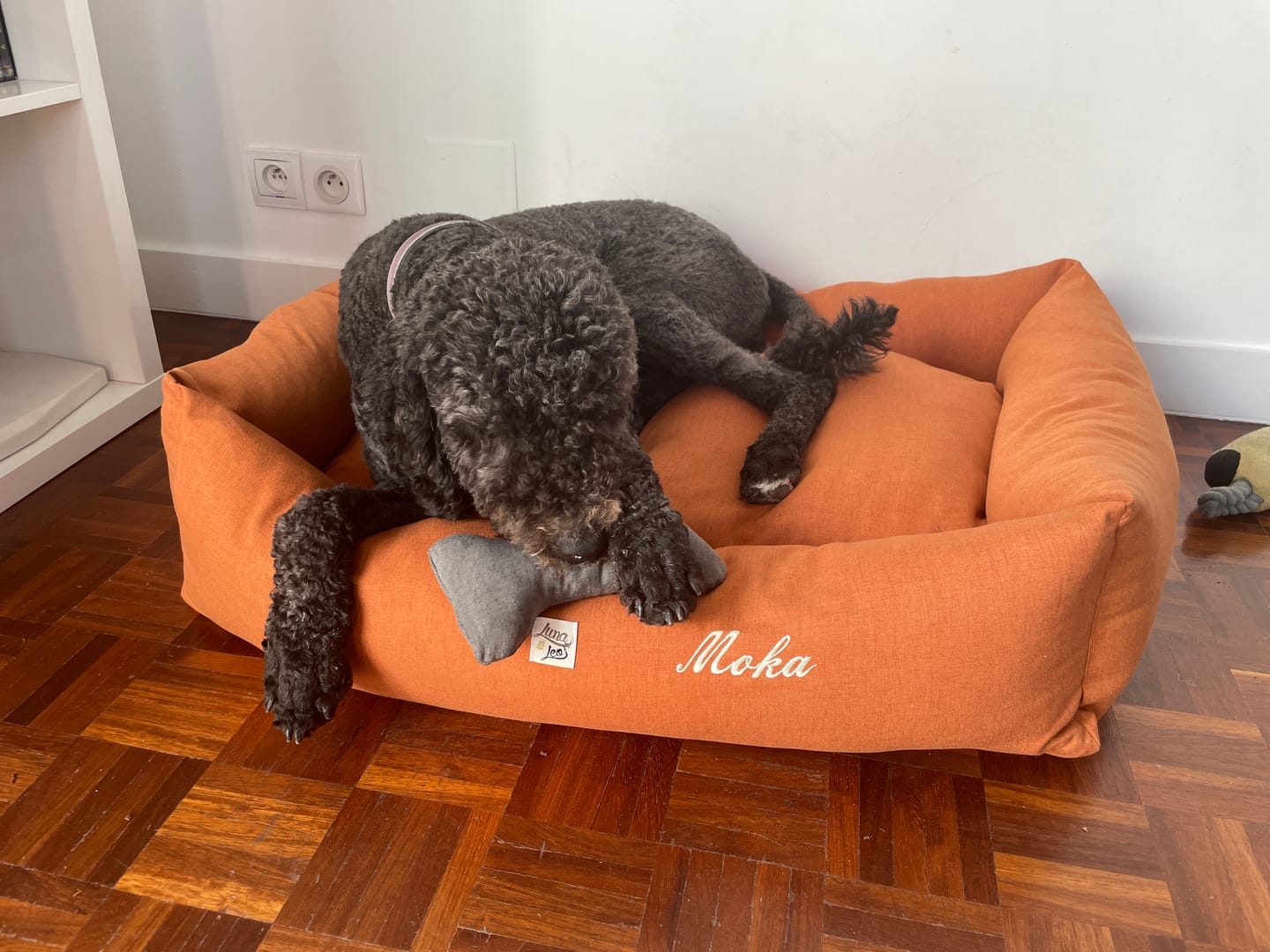 Customer photo review of Ricamo (NON RIMUOVERE)