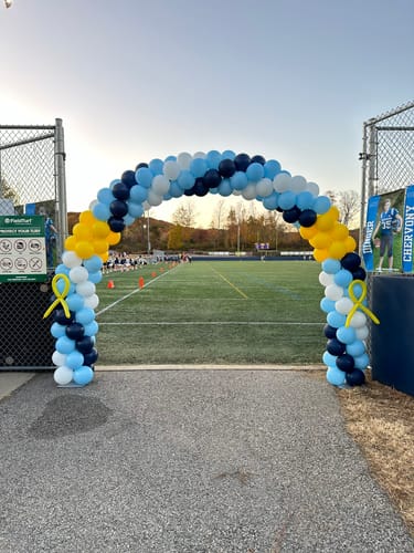 Customer photo review of 10x8 Ft Aluminum Balloon Arch Frame Wedding Arch Stand