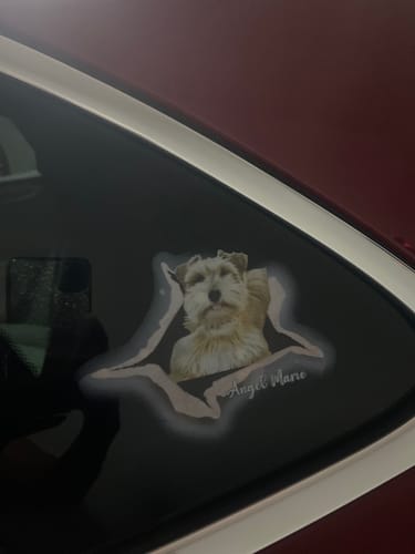 Customer photo review of Personalized Pet lover Crack Car Sticker