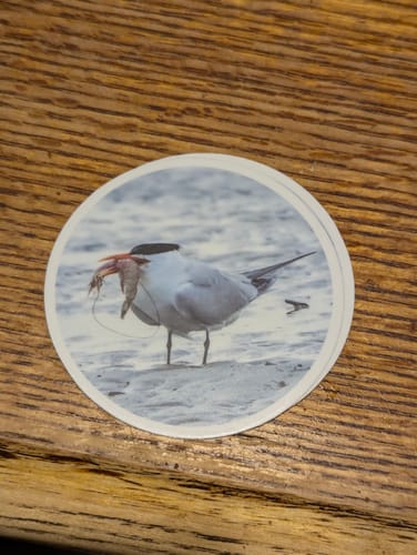 Customer photo review of Custom Sticker Sale