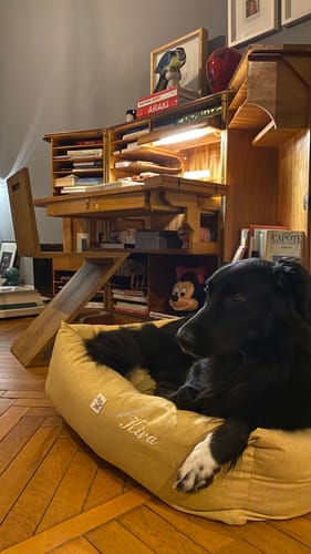 Customer photo review of Ricamo (NON RIMUOVERE)