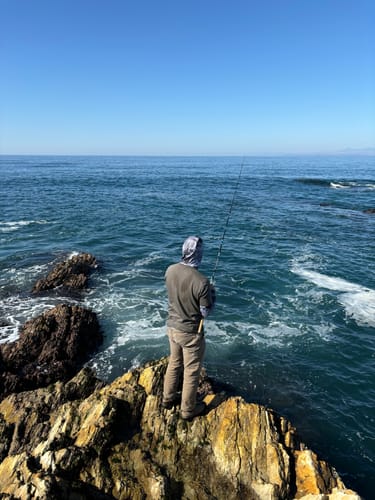 Customer photo review of Rockfish Bobber 2.25 oz for Long Casting Fisherman's Life®