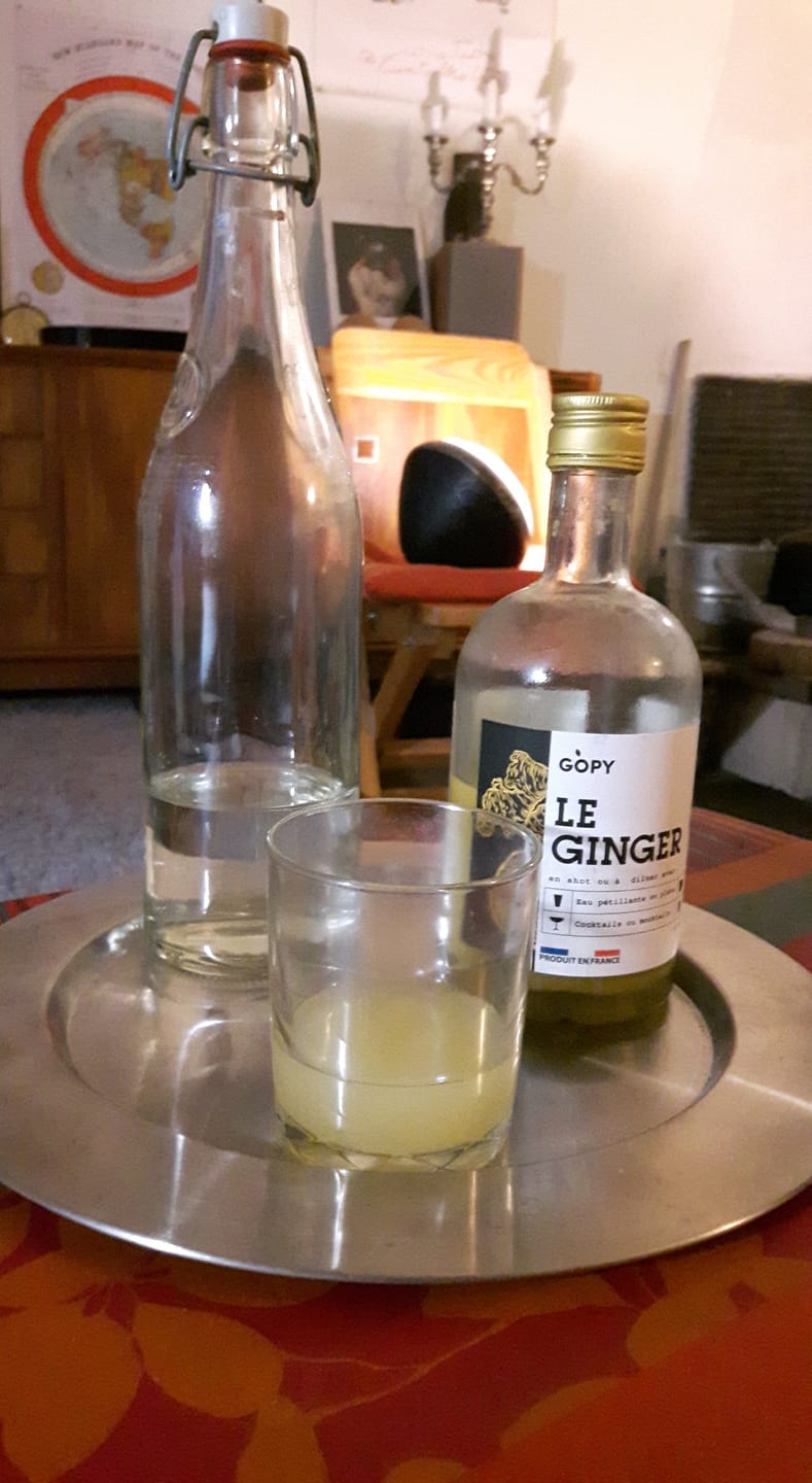Customer photo review of Le Ginger Gopy 500ML BIO