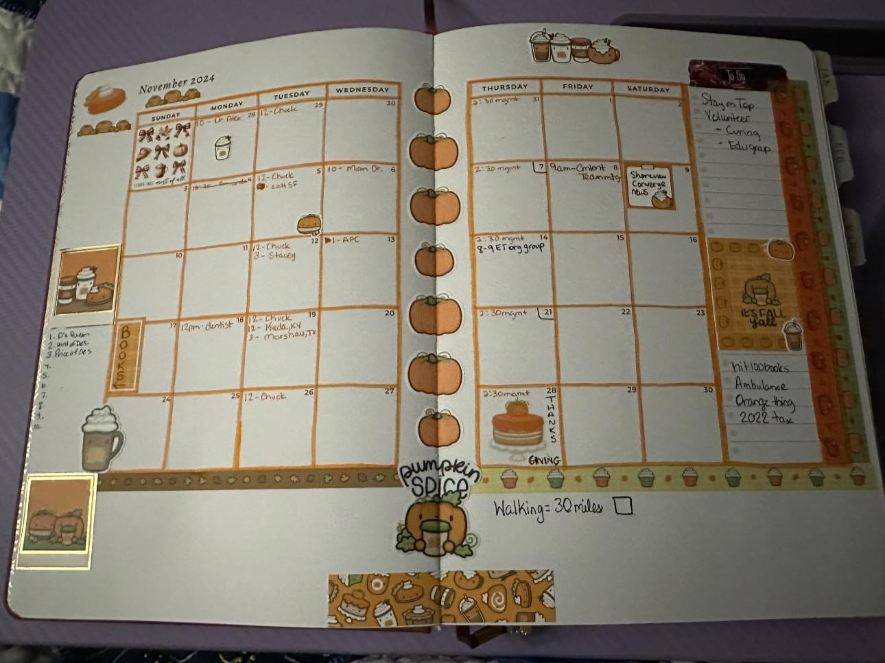 Customer photo review of Pumpkin Spice Variety Sticker Pack