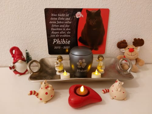 Customer photo review of Katzen Gedenktafel mit Foto & Spruch (UV- & Wetterfest)