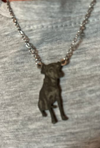 Customer photo review of Personalised Pet Necklace or Pendant