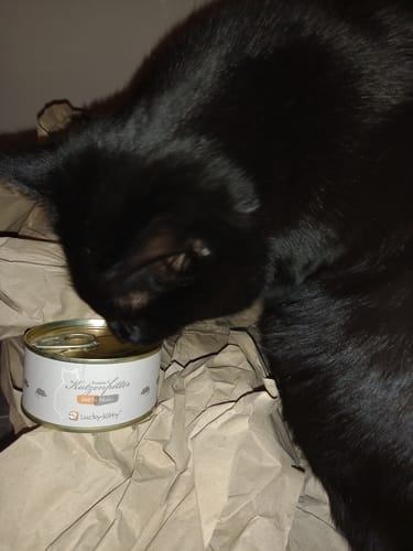 Customer photo review of Katzenfutter Maus Pur Welt-Exklusiv