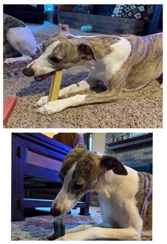 Customer photo review of MIX FLAVORED (strawberry, banana, mint, & blueberry): A PACK OF 4 STICKS