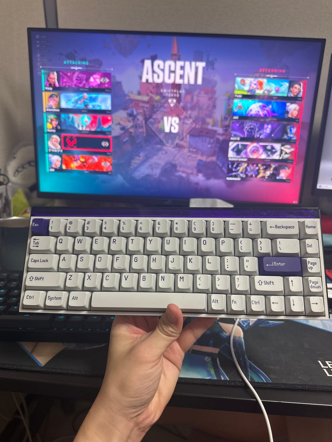 Customer photo review of MADE68 Pro