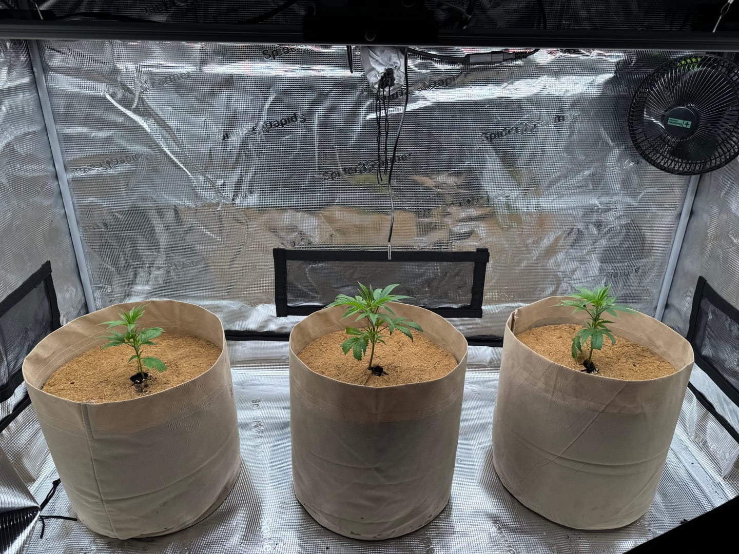 Customer photo review of Root Heaven Stoff Topf