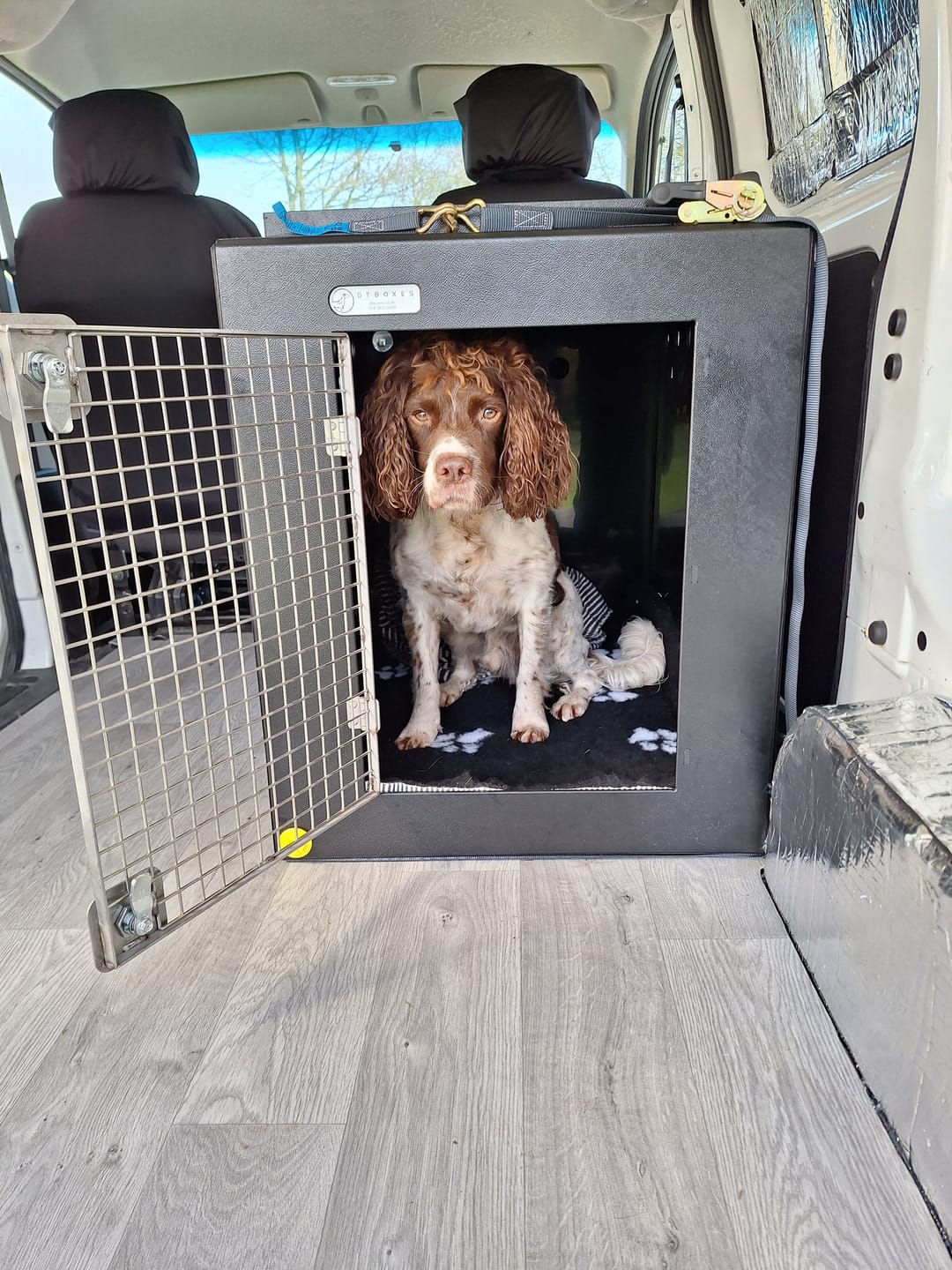 Customer photo review of DT Box Dog Car Travel Crate - The DT 600