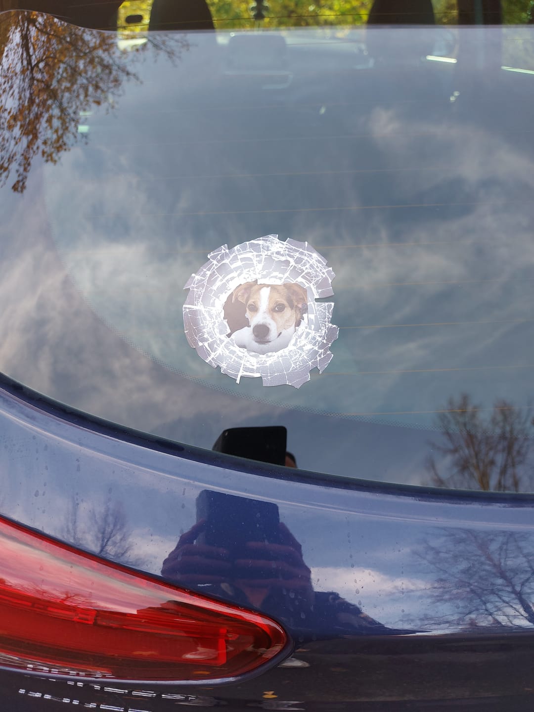 Customer photo review of Spähendes Foto Glas - Individueller Autoaufkleber