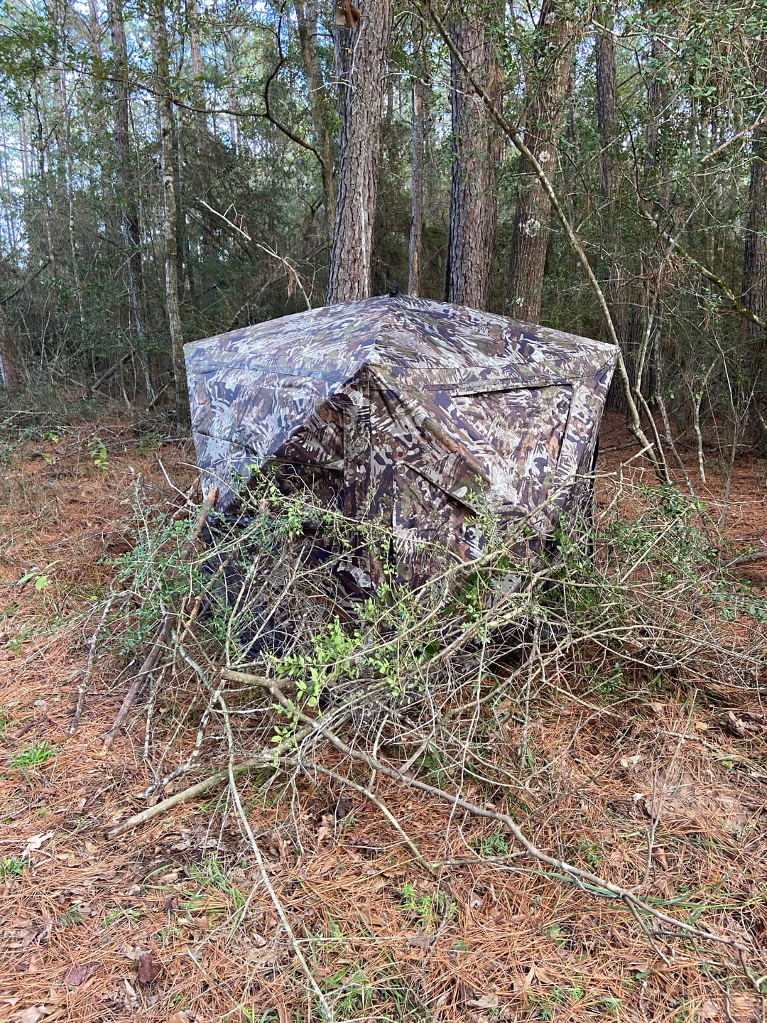 Customer photo review of VisST See-Through Pop-Up Ground Blinds with Silent Magnetic Door