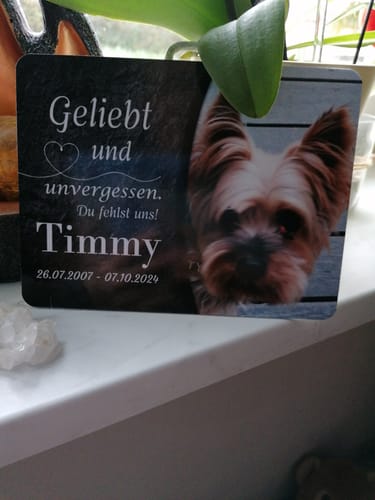 Customer photo review of Hunde Gedenktafel mit Foto & Spruch (UV- & Wetterfest)