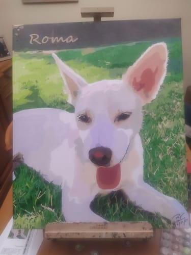 Customer photo review of Pintar por numeros personalizado