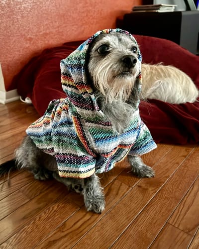 Customer photo review of Playa Poncho - Surprise Color