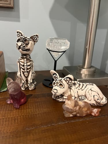 Customer photo review of Kiki Crystal's live stream payment link