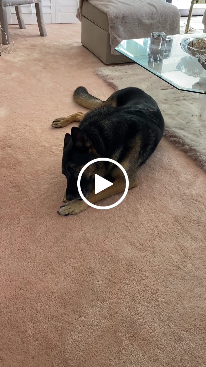 Customer video review of 6 Inch Beef Jerky Stick