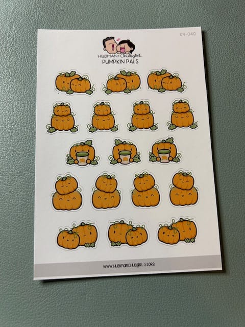 Customer photo review of Pumpkin Pals Planner Stickers