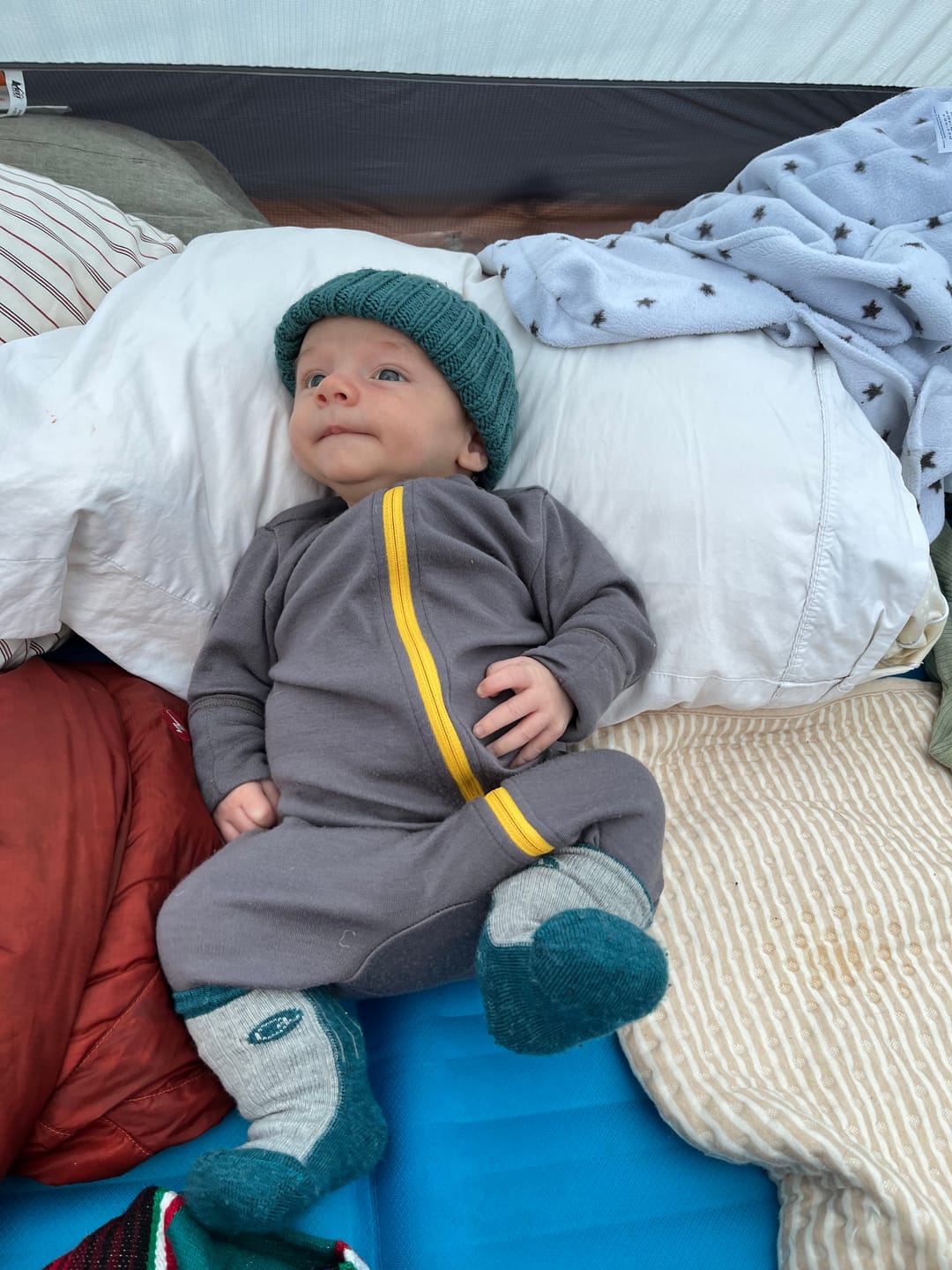 Customer photo review of baby adventure zippy