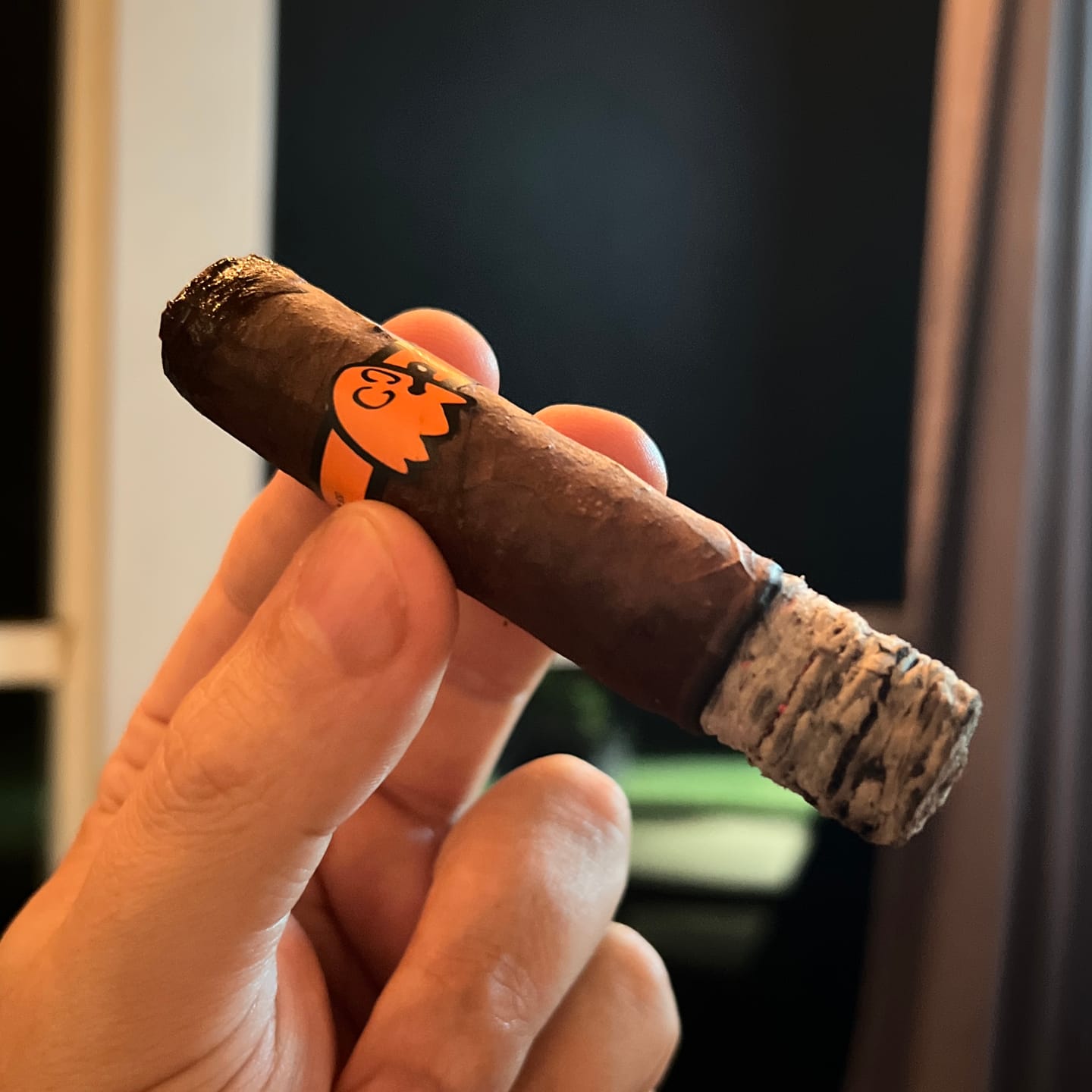 Customer photo review of The Mascot