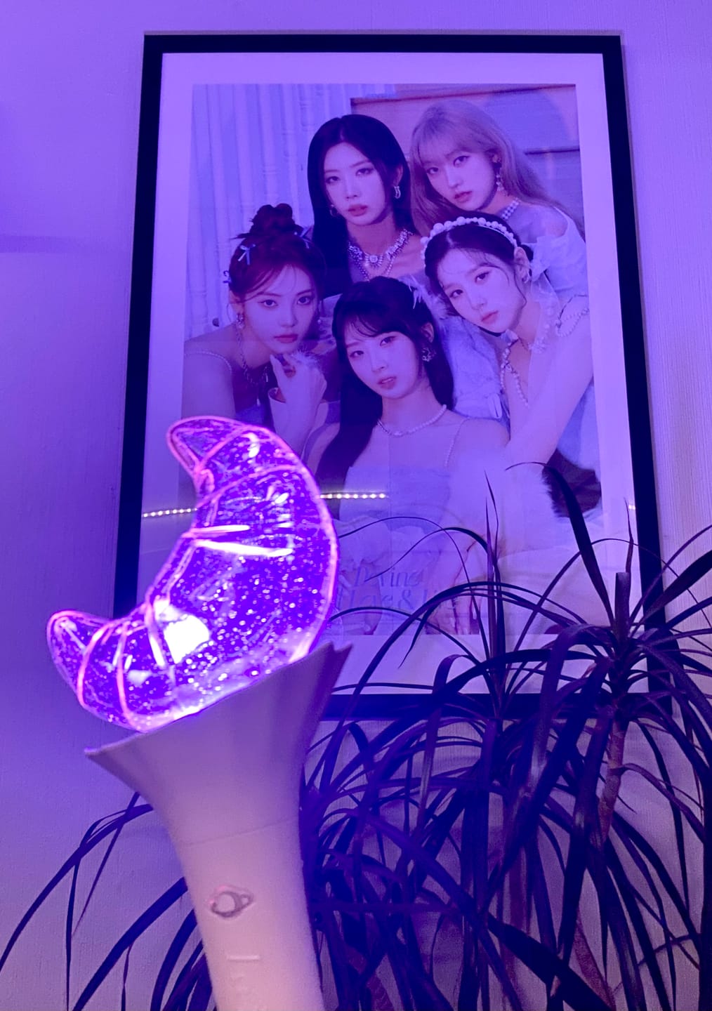 Customer photo review of Loossemble - OFFICIAL LIGHT STICK