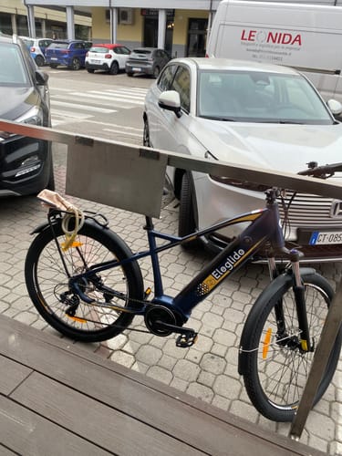 Customer photo review of Electric Trekking Bike C1