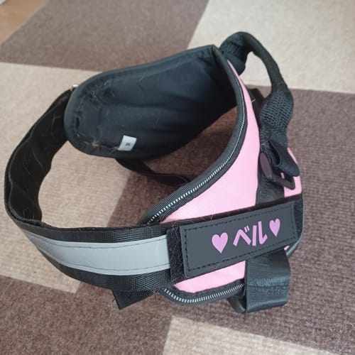 Customer photo review of FunFunPet 高機能ハーネス（お名前タグ作成サービス付き）