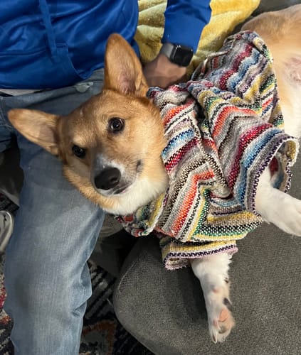 Customer photo review of Playa Poncho - Surprise Color