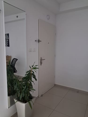 Customer photo review of דלת מראה להסתרת ארון חשמל