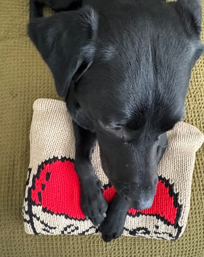 Customer photo review of The Young Hearts Jumper