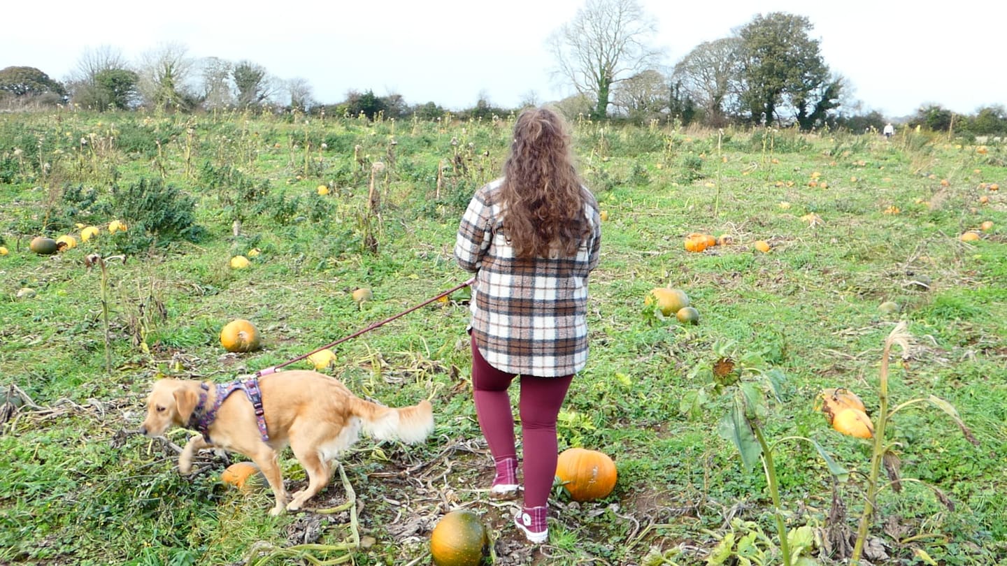 Customer photo review of Walkies Ready® Leggings - Mulberry