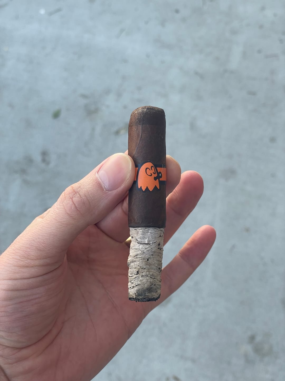 Customer photo review of The Mascot