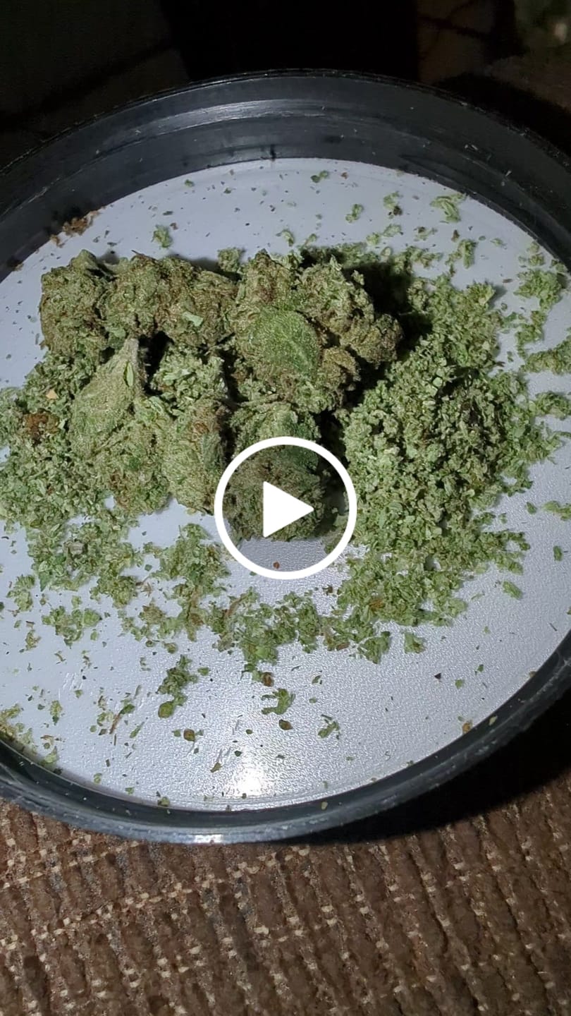 Customer video review of Exotic Micros