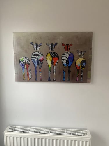 Customer photo review of Colourful Zebras