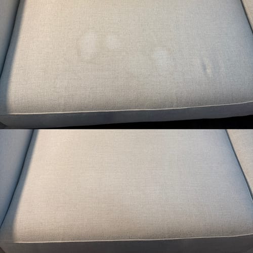 Customer photo review of Green Mitt Kit